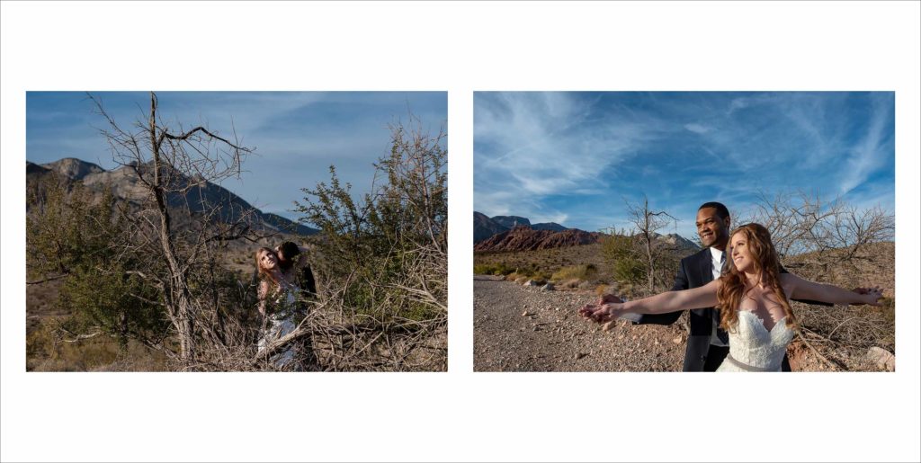 Wedding Albums Las Vegas | Photo Books