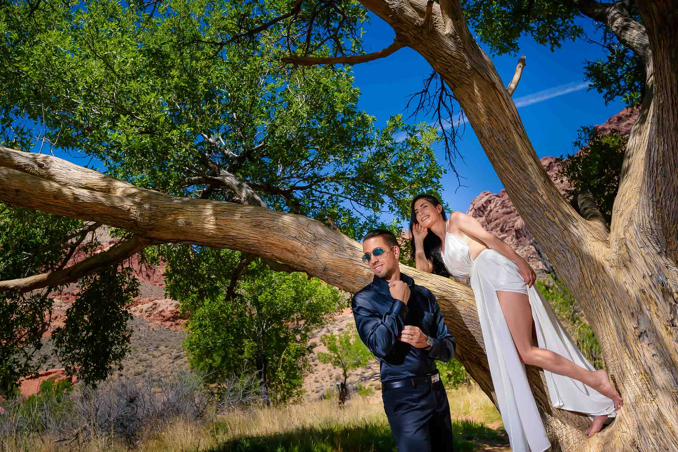 Red Rock Canyon elopement couple on tree editorial pose photographed by Zoltan Redl Nagy